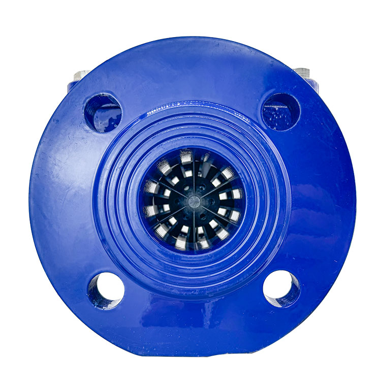 Woltman Water Meter